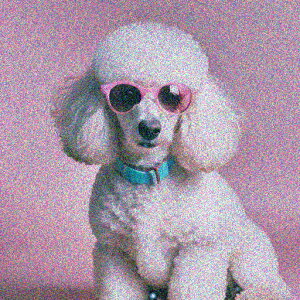 TOX v[h sN̔wi  NbVJo[ 45×45cm Aj}   NbV{̕t ` t@