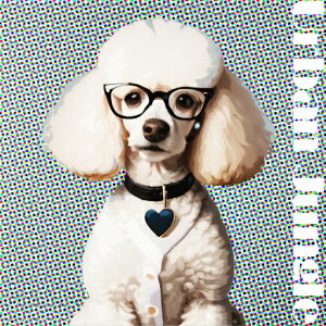 ዾ v[h n[g^̃y_g hbgp^[ NbVJo[ 45×45cm Aj}   NbV{̕t ` t@