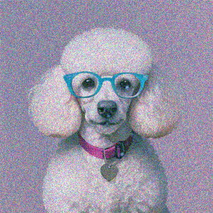 Kl v[h  n[g^̃y_g NbVJo[ 45×45cm Aj}   NbV{̕t ` t@