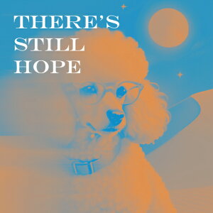 Kl v[h   NbVJo[ 45×45cm Aj}   NbV{̕t ` t@