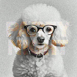 ዾ v[h J[ n[g^O p[eB[ iCg NbVJo[ 45×45cm Aj}   NbV{̕t ` t@