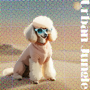 TOX v[h Jt Ck̕ A[oWO NbVJo[ 45×45cm Aj}   NbV{̕t ` t@