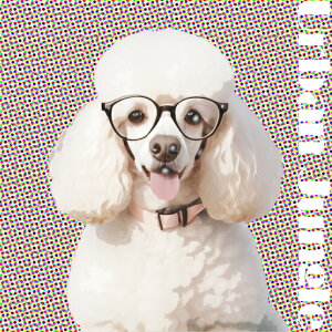 Kl v[h JtȔwi ̎ NbVJo[ 45×45cm Aj}   NbV{̕t ` t@