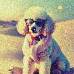 TOX v[h }t[  j[N NbVJo[ 45×45cm Aj}   NbV{̕t ` t@