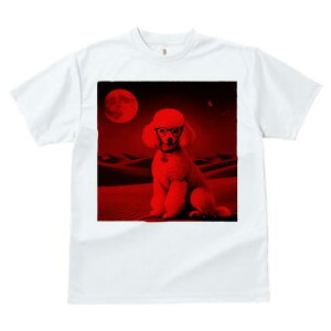 TVc Y LbY t@  t  vg JWA 킢 lԗp tBbglX _X  v[h Kl  Ԃ