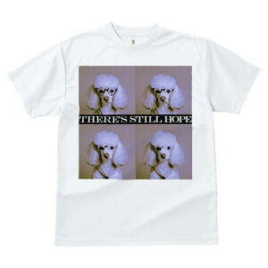 TVc Y LbY t@  t  vg JWA 킢 lԗp tBbglX _X Kl v[h |X^[ ܂]