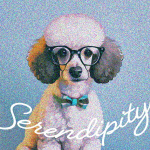 ዾ v[h lN^C ZfBseB NbVJo[ 45×45cm Aj}   NbV{̕t ` t@