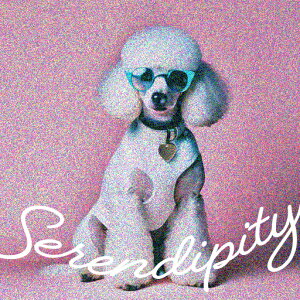 Kl v[h n[g sN TOX J[ NbVJo[ 45×45cm Aj}   NbV{̕t ` t@