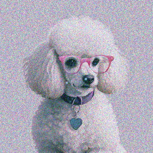 Kl v[h  n[g NbVJo[ 45×45cm Aj}   NbV{̕t ` t@