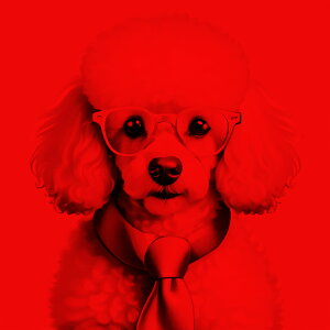 Kl v[h lN^C  NbVJo[ 45×45cm Aj}   NbV{̕t ` t@