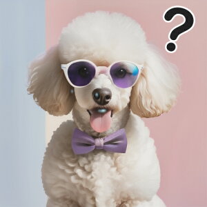 TOX v[h lN^C sN  NbVJo[ 45×45cm Aj}   NbV{̕t ` t@