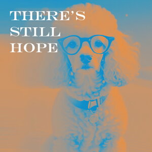 Kl v[h  ] NbVJo[ 45×45cm Aj}   NbV{̕t ` t@