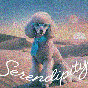  v[h TOX XJ[t _  NbVJo[ 45×45cm Aj}   NbV{̕t ` t@