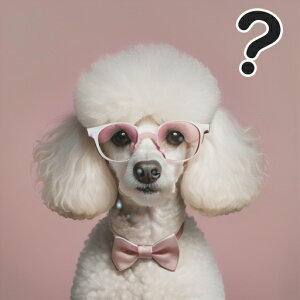 Kl v[h lN^C nei}[N sNwi NbVJo[ 45×45cm Aj}   NbV{̕t ` t@