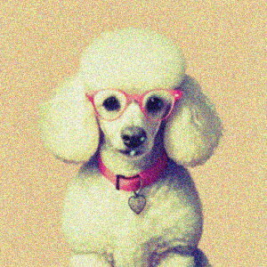 sÑKl v[h   Z[^[ NbVJo[ 45×45cm Aj}  NbV{̕t ` t@