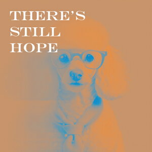 ዾ v[h lN^C Kl NbVJo[ 45×45cm Aj}   NbV{̕t ` t@