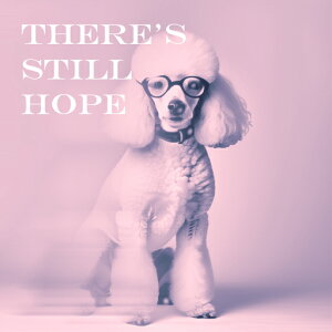 ዾ v[h X[K NbVJo[ 45×45cm Aj}   NbV{̕t ` t@