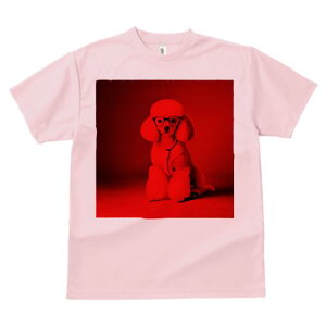 TVc Y LbY t@  t  vg JWA 킢 lԗp tBbglX _X Kl v[h Z[^[