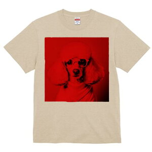 TVc Y LbY t@  t  vg JWA 킢 lԗp tBbglX _X Kl v[h Z[^[ t@bV ԐF 