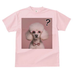 TVc Y LbY t@  t  vg JWA 킢 lԗp tBbglX _X Kl v[h lN^C nei}[N sNwi