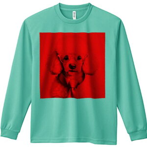 TVc lԗp Y Ht vg W[ AEghA JWA 킢 t@ Kl v[h lN^C 