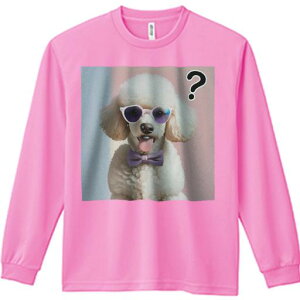 TVc lԗp Y Ht vg W[ AEghA JWA 킢 t@ TOX v[h lN^C sN 