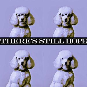 ] v[h yϓI ̎ʐ^ t[ NbVJo[ 45×45cm Aj}   NbV{̕t ` t@