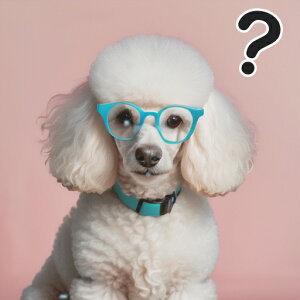 Kl v[h ^╄ wisN NbVJo[ 45×45cm Aj}   NbV{̕t ` t@