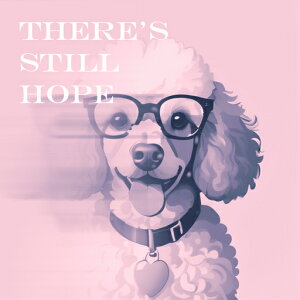 Kl v[h  n[g^y_g sNwi Ί NbVJo[ 45×45cm Aj}   NbV{̕t ` t@