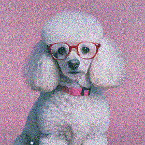 Kl v[h sN NbVJo[ 45×45cm Aj}   NbV{̕t ` t@