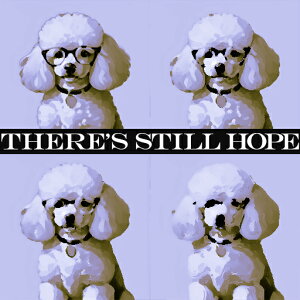 ዾ v[h ̎ bZ[W wi NbVJo[ 45×45cm Aj}   NbV{̕t ` t@