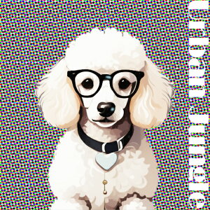 ዾ v[h n[g lbNX |bvA[g Jt NbVJo[ 45×45cm Aj}   NbV{̕t ` t@