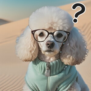 Kl v[h WPbg u NGX`}[N NbVJo[ 45×45cm Aj}   NbV{̕t ` t@