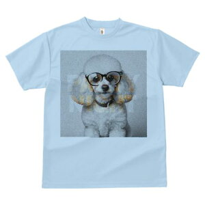 TVc Y LbY t@  t  vg JWA 킢 lԗp tBbglX _X Kl v[h p[eB[iCg  tt t@bV