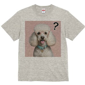 TVc Y LbY t@  t  vg JWA 킢 lԗp tBbglX _X Kl v[h J[ }[N