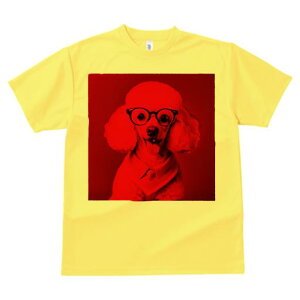 TVc Y LbY t@  t  vg JWA 킢 lԗp tBbglX _X Kl v[h lN^C ԐF 