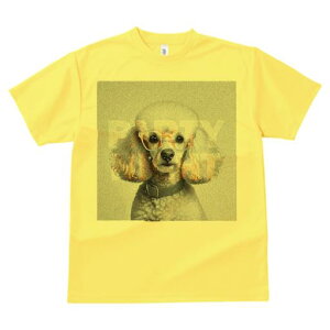 TVc Y LbY t@  t  vg JWA 킢 lԗp tBbglX _X Kl v[h p[eB[ ʐ^