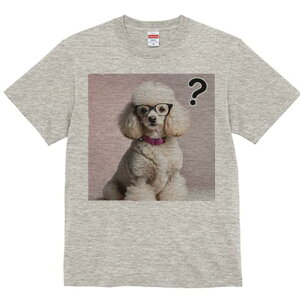 TVc Y LbY t@  t  vg JWA 킢 lԗp tBbglX _X ዾ v[h sNF̎ }[N