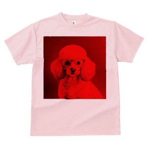 TVc Y LbY t@  t  vg JWA 킢 lԗp tBbglX _X Kl v[h