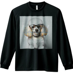 TVc lԗp Y Ht vg W[ AEghA JWA 킢 t@ Kl v[h p[eB[iCg  tt t@bV