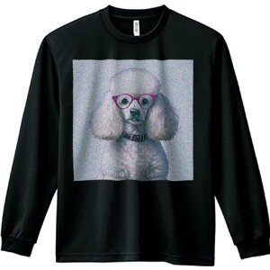 TVc lԗp Y Ht vg W[ AEghA JWA 킢 t@ Kl v[h  wi