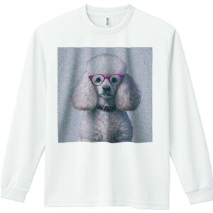 TVc lԗp Y Ht vg W[ AEghA JWA 킢 t@ Kl v[h  wi