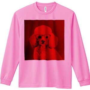 TVc lԗp Y Ht vg W[ AEghA JWA 킢 t@ Kl v[h