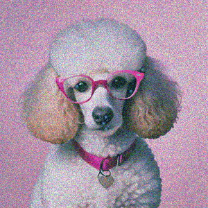 Kl v[h sNJ[ n[g^O sNwi NbVJo[ 45×45cm Aj}   NbV{̕t ` t@