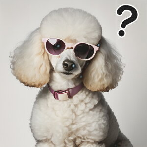 TOX v[h NGX`}[N  NbVJo[ 45×45cm Aj}   NbV{̕t ` t@