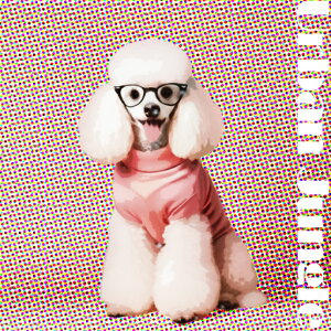 Kl v[h sÑVc |bvA[g A[oWO NbVJo[ 45×45cm Aj}   NbV{̕t ` t@