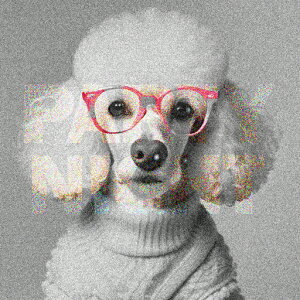 Kl v[h Z[^[ mN NbVJo[ 45×45cm Aj}   NbV{̕t ` t@