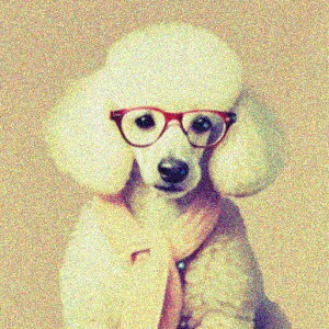 Kl v[h }t[ NbVJo[ 45×45cm Aj}   NbV{̕t ` t@