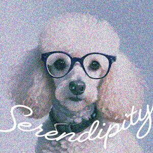 ዾ v[h ZfBseB t@bV NbVJo[ 45×45cm Aj}   NbV{̕t ` t@