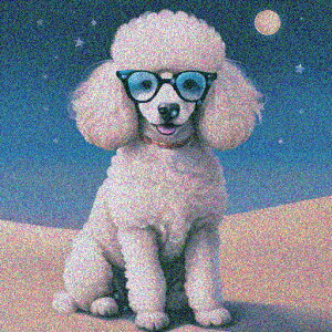 Kl v[h    NbVJo[ 45×45cm Aj}   NbV{̕t ` t@